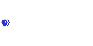 PBS Digital Studios logo PBS Digital Studios logo